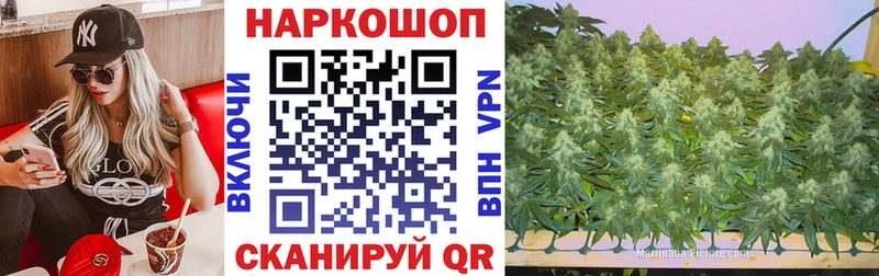 Галлюциногенные грибы Шали
