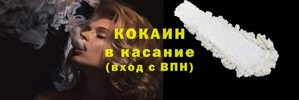 молекула духа Новозыбков