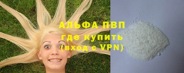 молекула духа Новозыбков
