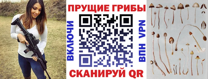 Галлюциногенные грибы Psilocybine cubensis  Шали 